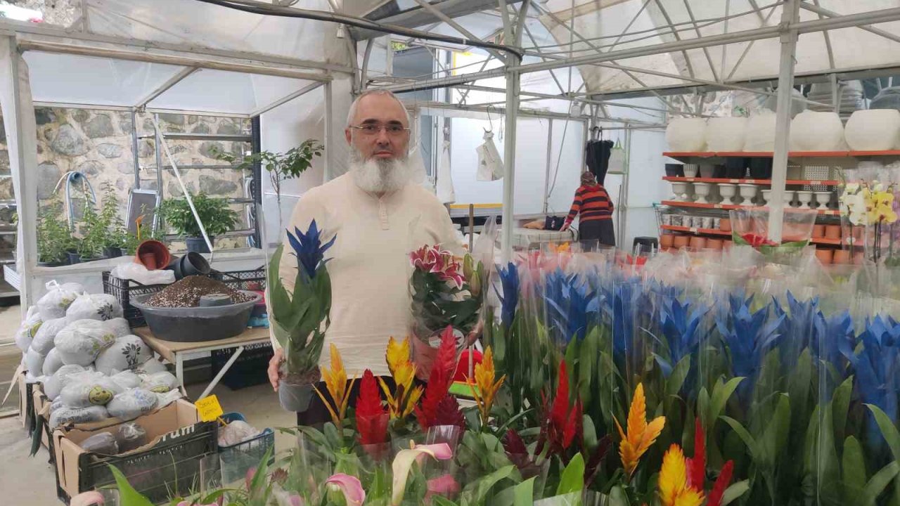 Her şey bir kaktüs ile başladı