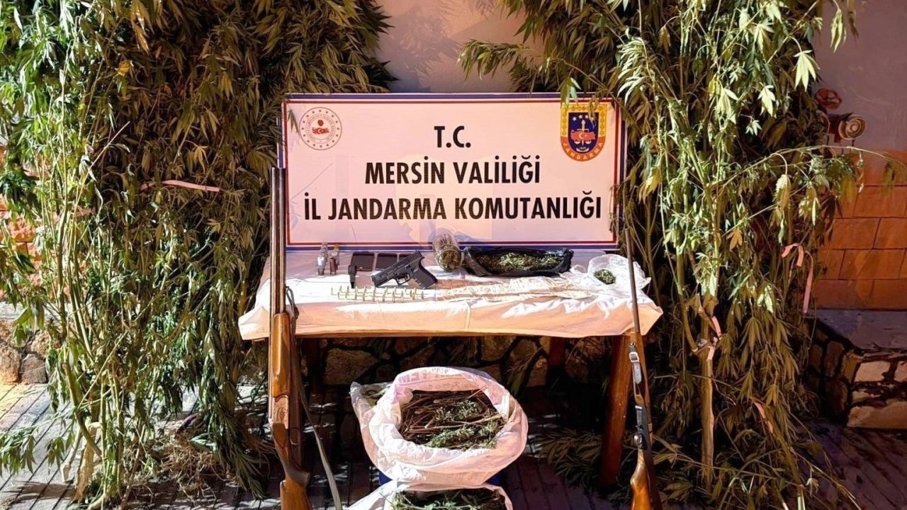 Mersin’de bahçelerine kenevir eken 3 şüpheli yakalandı