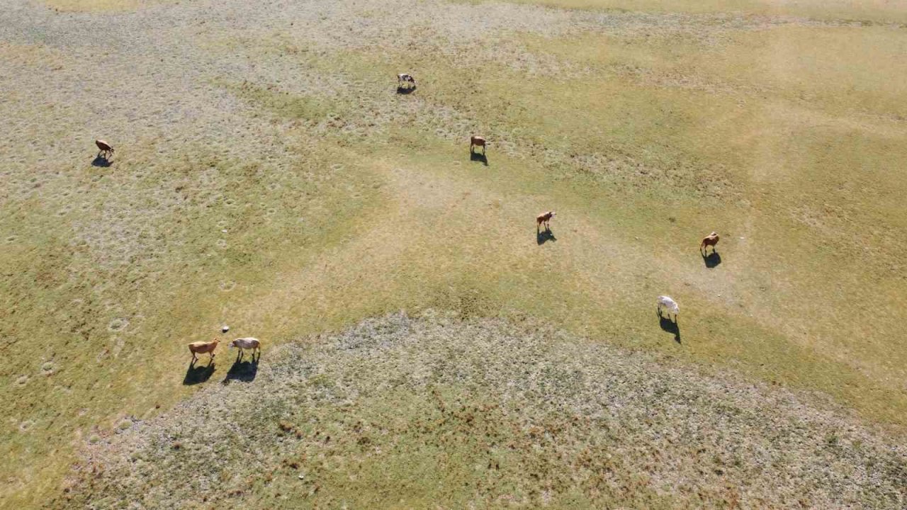 Üç zamanlı dron çekimi kuraklığı belgeledi: Gelingüllü Barajı alarm veriyor