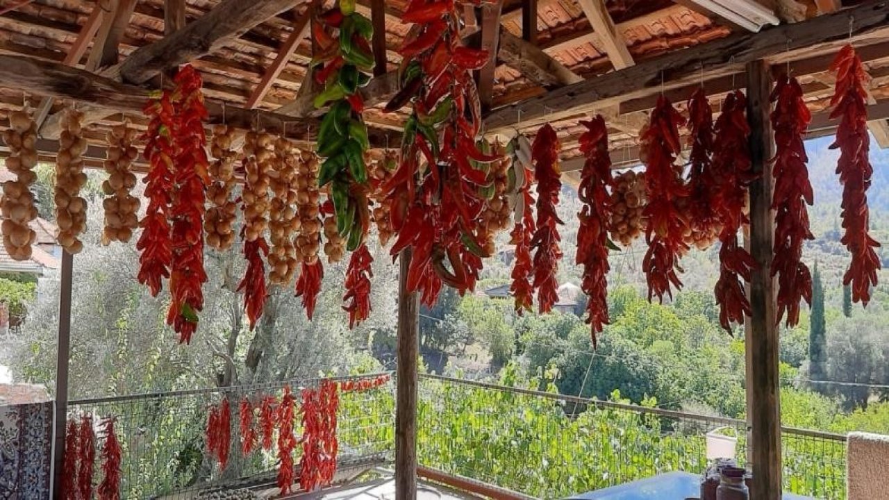 Muğla’da kış hazırlığı renkli görüntüler oluşturdu