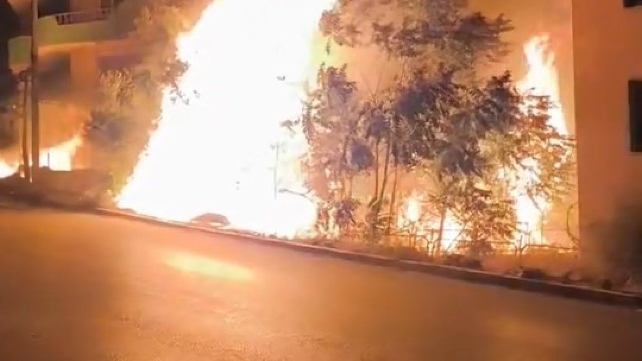 Bursa’da alev alan ağaçlar villaları böyle tehdit etti