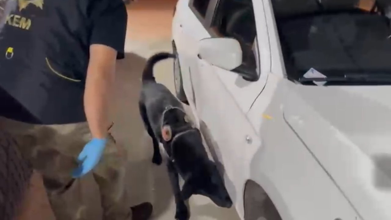 Kiralık araçla uyuşturucu sevkiyatı yapan baba-oğul yakalandı