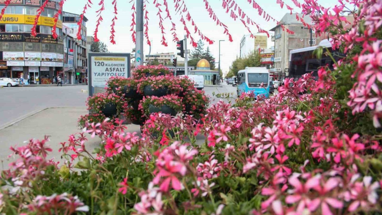 Van Büyükşehir Belediyesi şehri sardunyalarla süslüyor