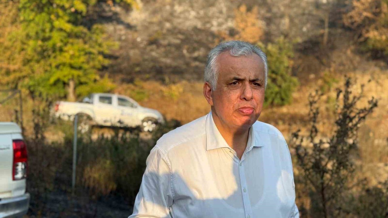 Düzce Vali Vekili Cinbir: "Orman yangını kontrol altına alınmak üzere"