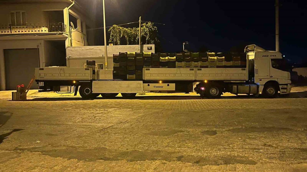 Kardeşköy’de bamya sezonu hız kesmiyor