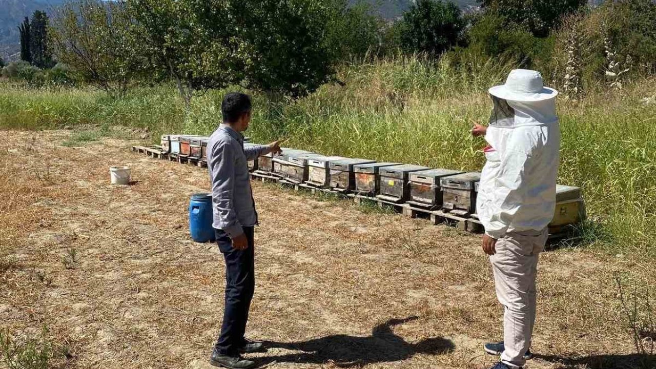 Arıcılık desteklemeleri için kovan sayımları tamamlandı