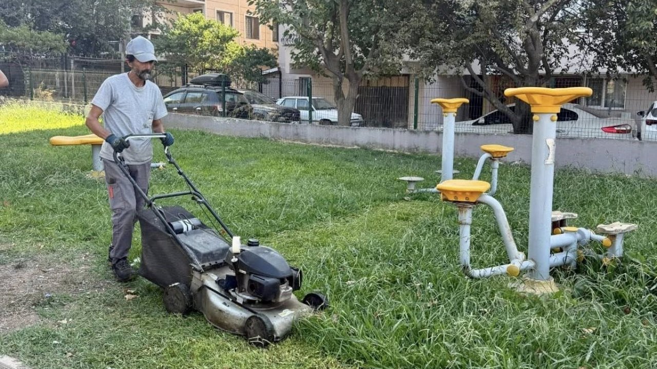 Körfez’de park ve bahçelere bakım işlemi