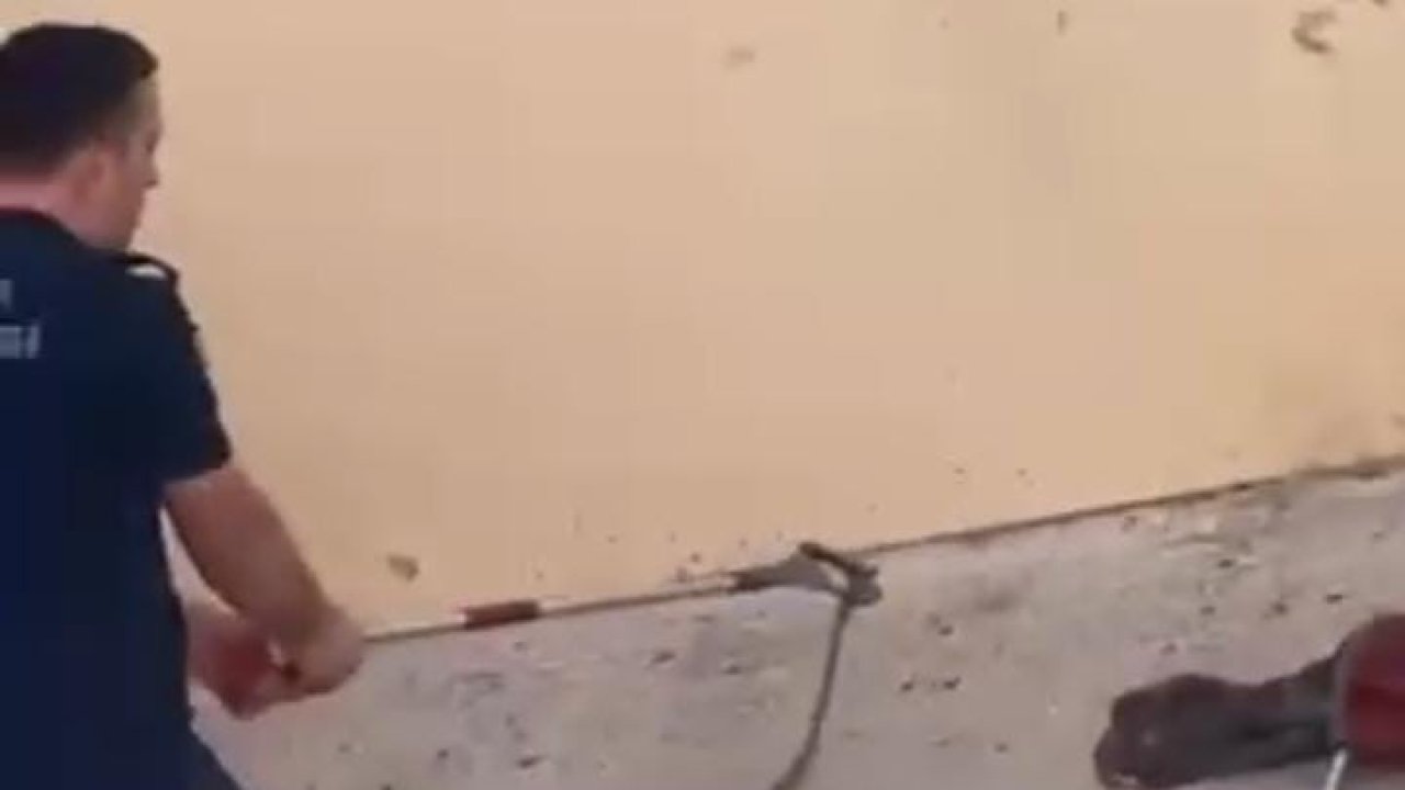 Konut bahçesinde 1,5 metre uzunluğunda yılan görüldü