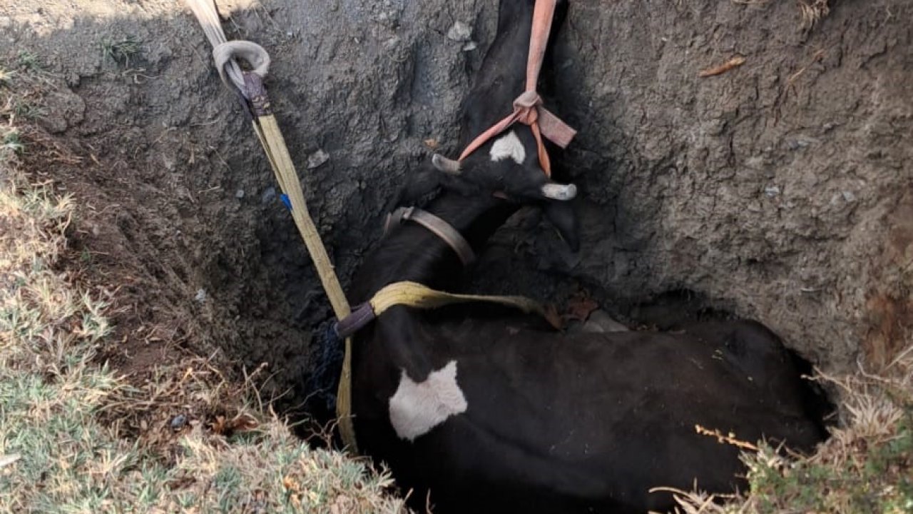 Burdur’da kuyuya düşen inek 2 saatlik çalışmayla kurtarıldı