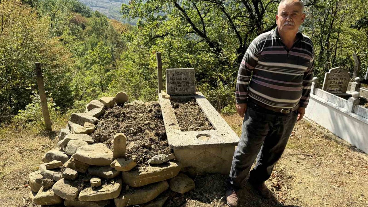 Mezarı kazıp tahtaları kıran ayı cenazeye ulaşamadan kaçtı