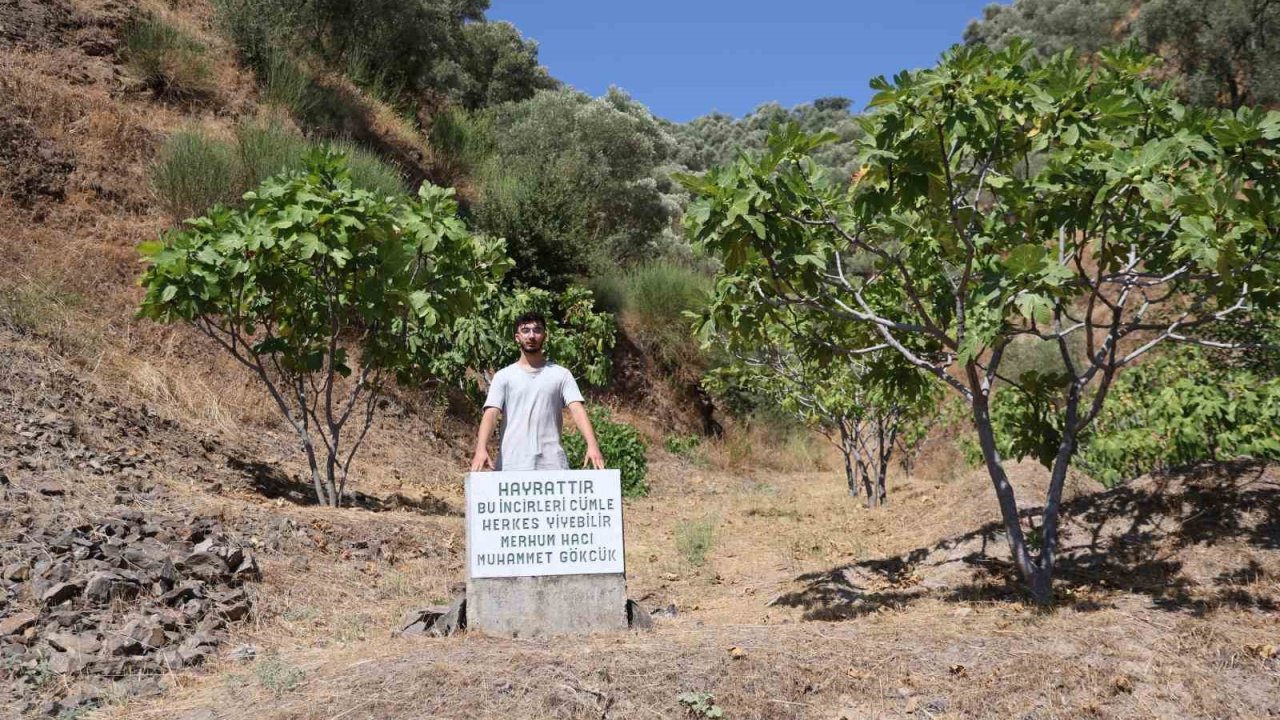 Mezar taşı değil, ‘herkes yesin’ uyarısı