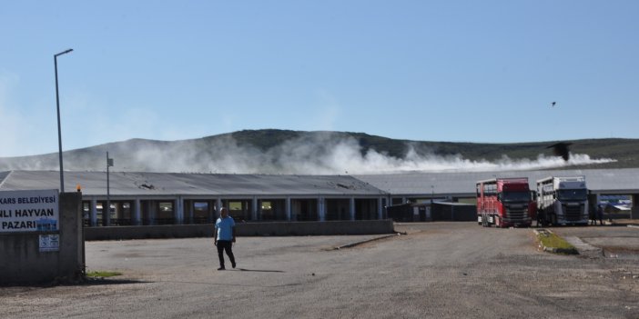 Kars'ta Çöp Alanından Şehre Sızan Duman Halkı Zehirliyor!