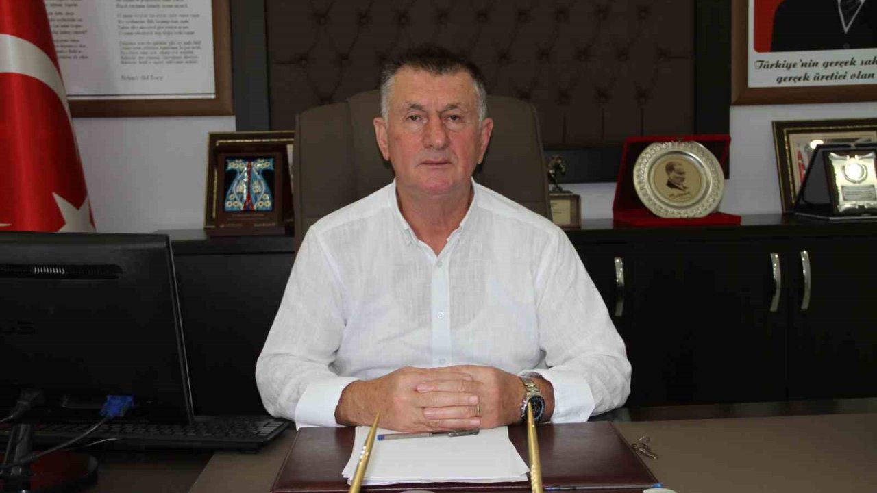 Fındık hasadına yağış etkisi
