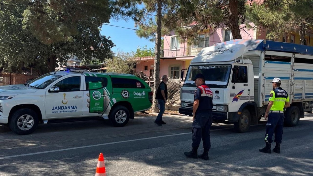 Uşak’ta canlı hayvan nakil araçlarına denetim