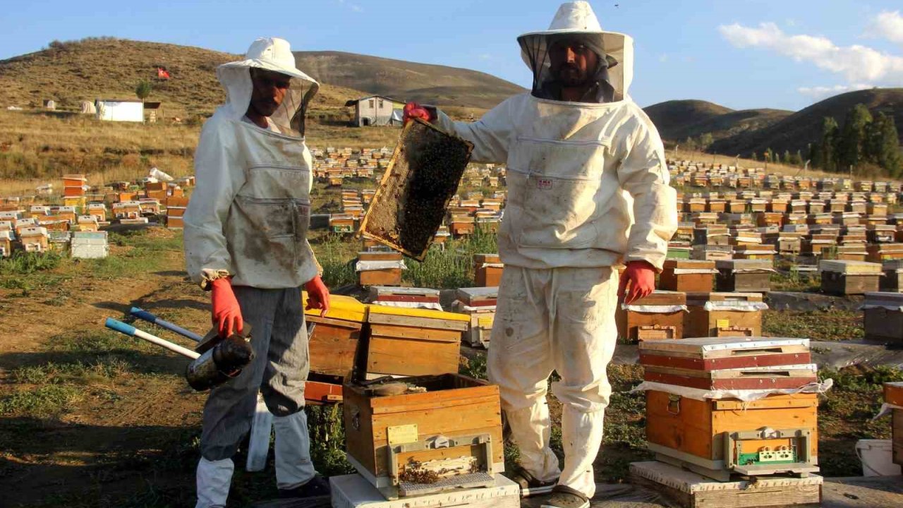 Bayburt’ta arıcıların bal hasadı sürüyor