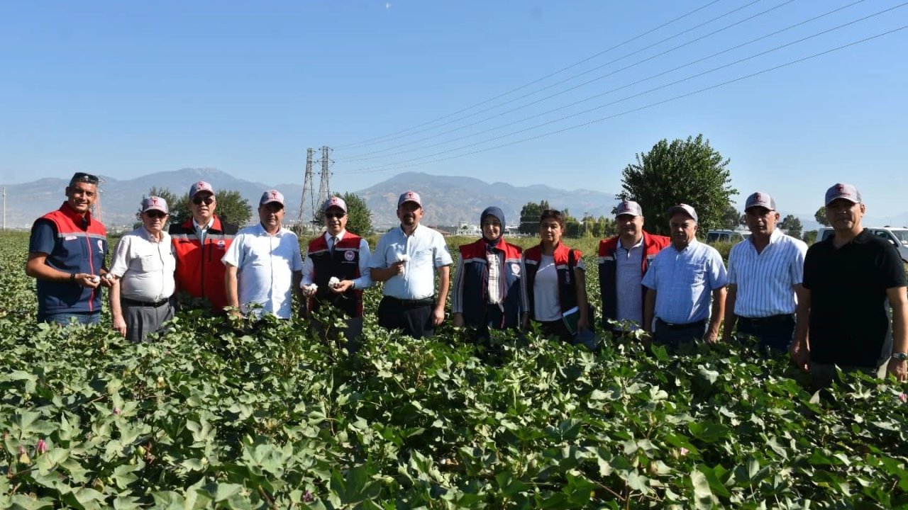 Tarım İl Müdürü Temiz: "Pamuk Aydın için stratejik bir ürün"