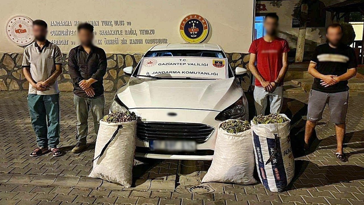 Gaziantep’te hırsızlık şüphelisi 24 şahıs yakalandı