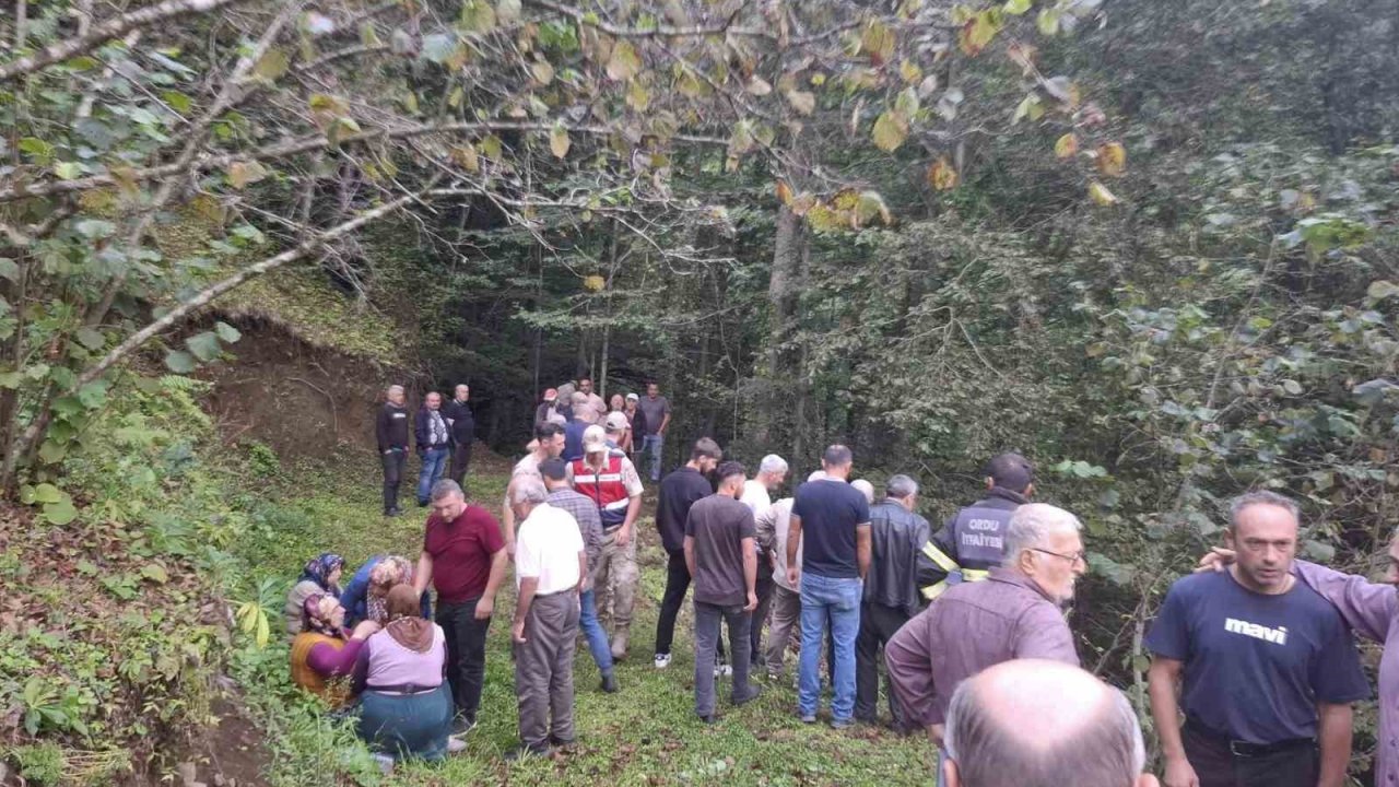 Ordu’da feci kaza: Uçuruma yuvarlanan patpatın altında can verdi