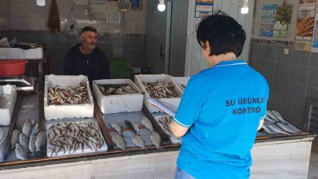 Balık av sezonunun başlaması ile birlikte su ürünleri denetimleri sıklaştırıldı