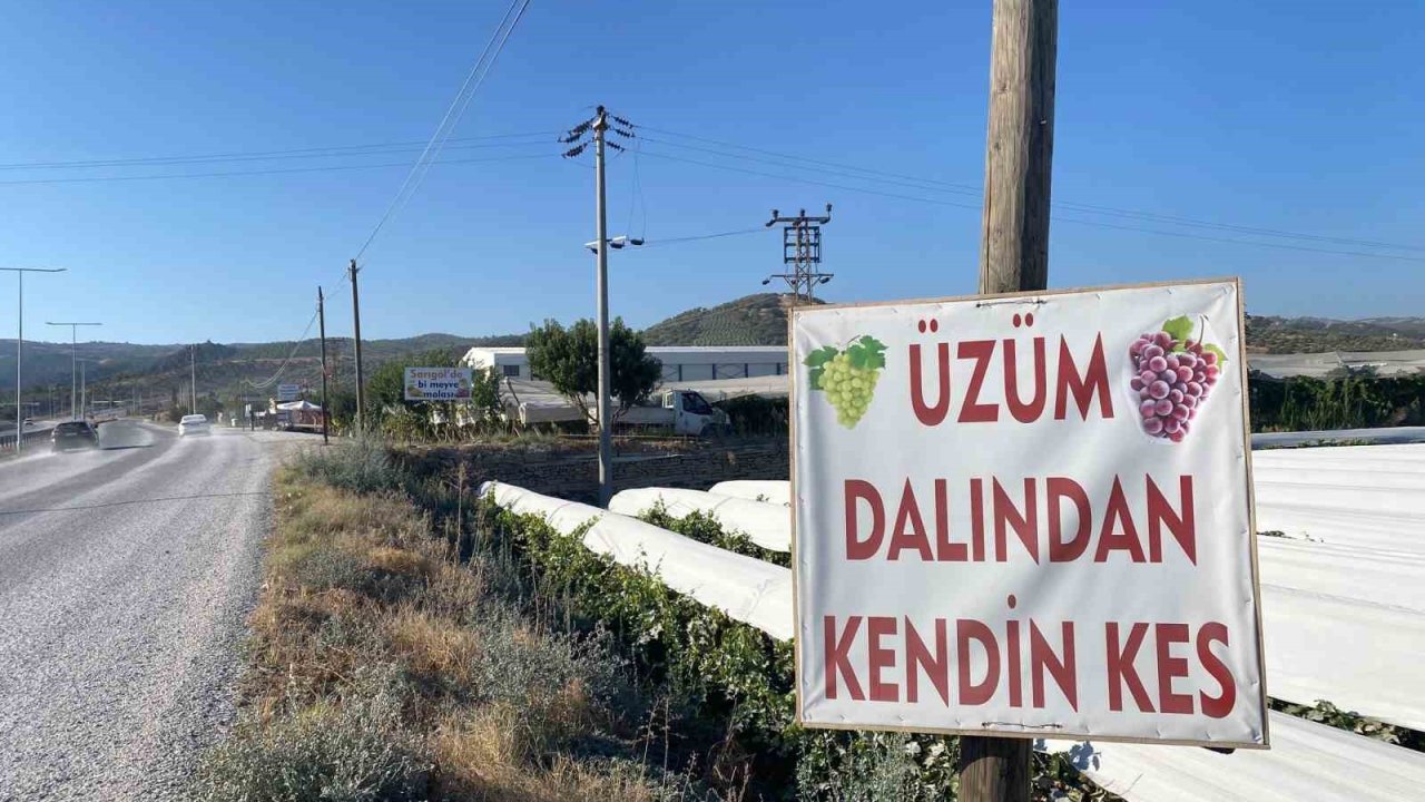 Dalından satışla ekonomiye katkı