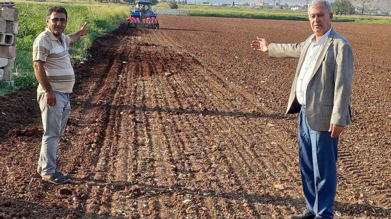 Araban Ovası’nda tecilli Araban sarımsağı ekimine başladı