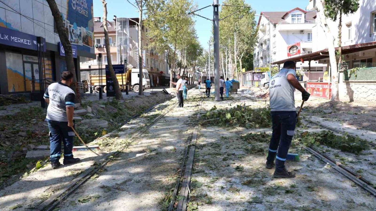 Alikahya Tramvay Hattı’nda ağaçlar budanıyor