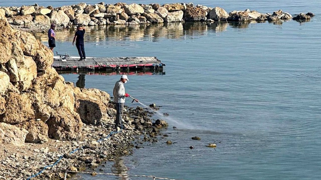 Van’da vektörle mücadele seferberliği