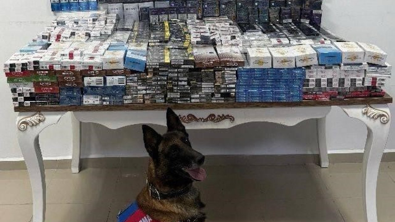 Yol kontrolünde 3 bin 606 paket kaçak sigara ele geçirildi