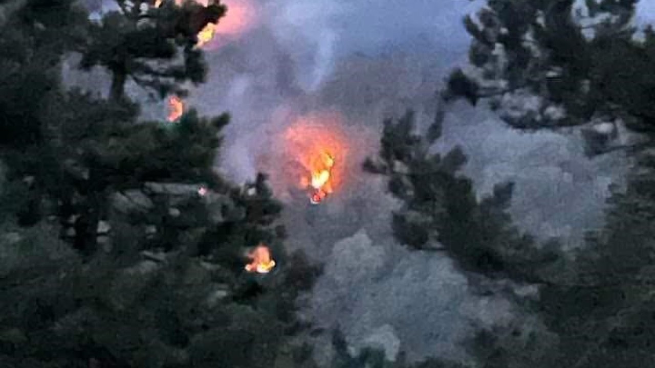Sakarya’daki orman yangını kontrol altına alındı