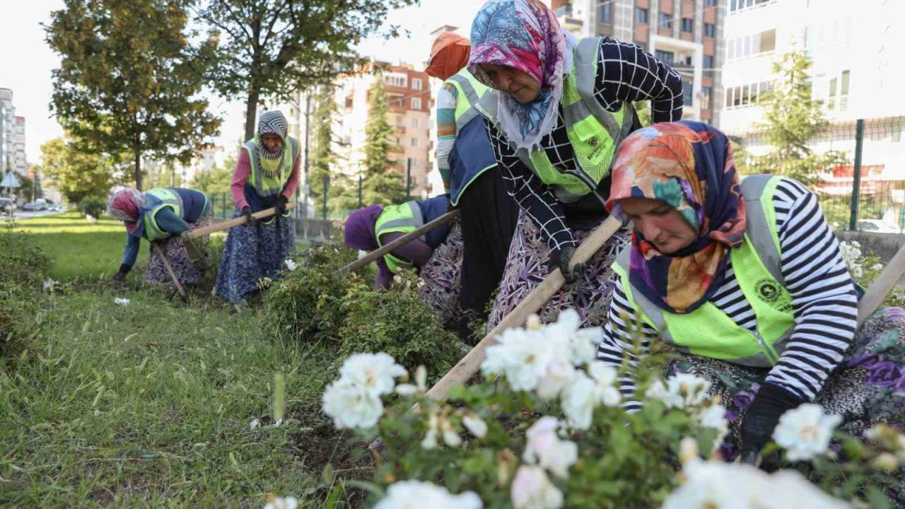 Samsun, kadınların emeğiyle güzelleşiyor