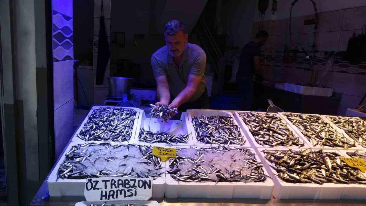 Karadeniz’de avı bollaştı, hamsi fiyatı 100 TL’ye düştü