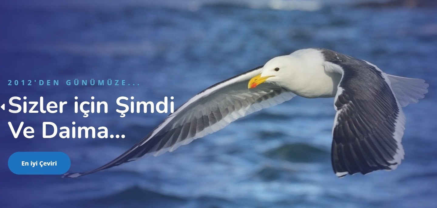 Çeviri Ücretleri ve Çekçe Çeviri