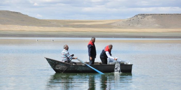 Kars göllerine binlerce sazan yavrusu bırakıldı