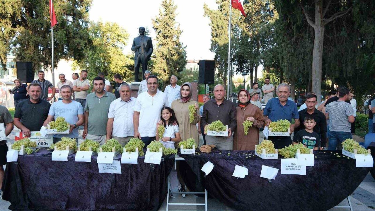 Sarıgöl’de Sultani üzüm yarışması