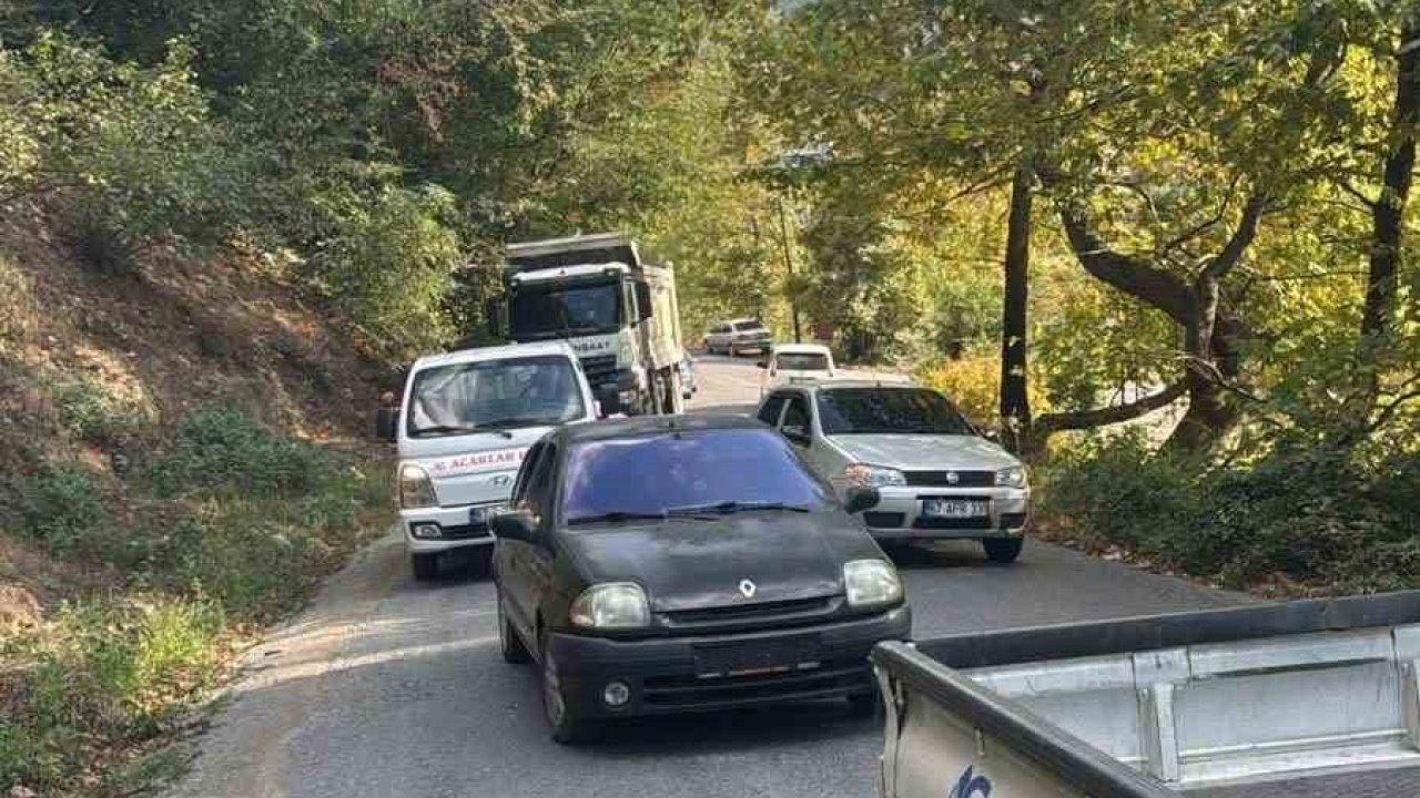 Alaplı’da yola devrilen ağaç, vatandaşlar  tarafından kaldırıldı