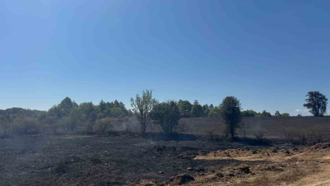 Bilecik’te yaşanan anız yangınında 2 hektar alan kül oldu