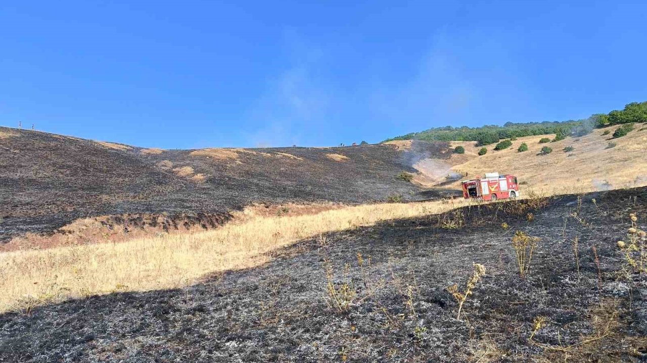 Aşkale Güneyçam Köyü’nde anız yangını: 100 dönüm alan kül oldu