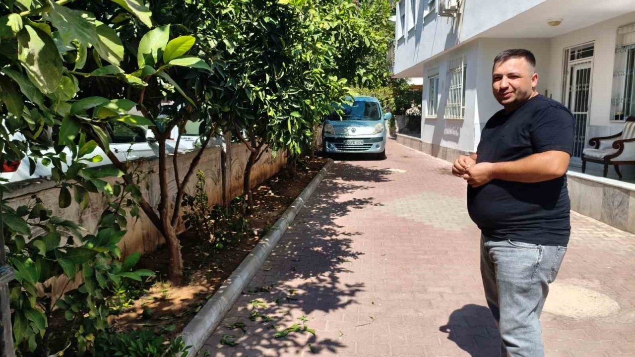 Antalya’da portakal koparma kavgası