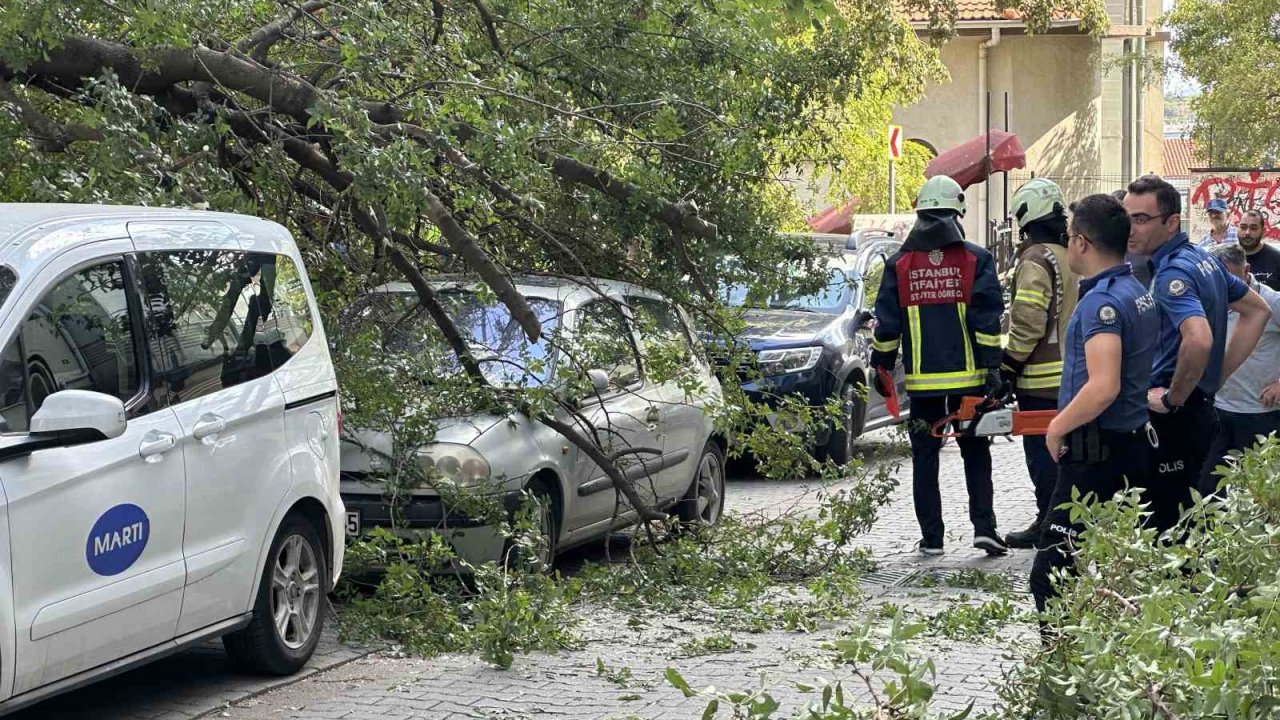 Kadıköy’de ağaç dalı iki otomobilin üzerine devrildi