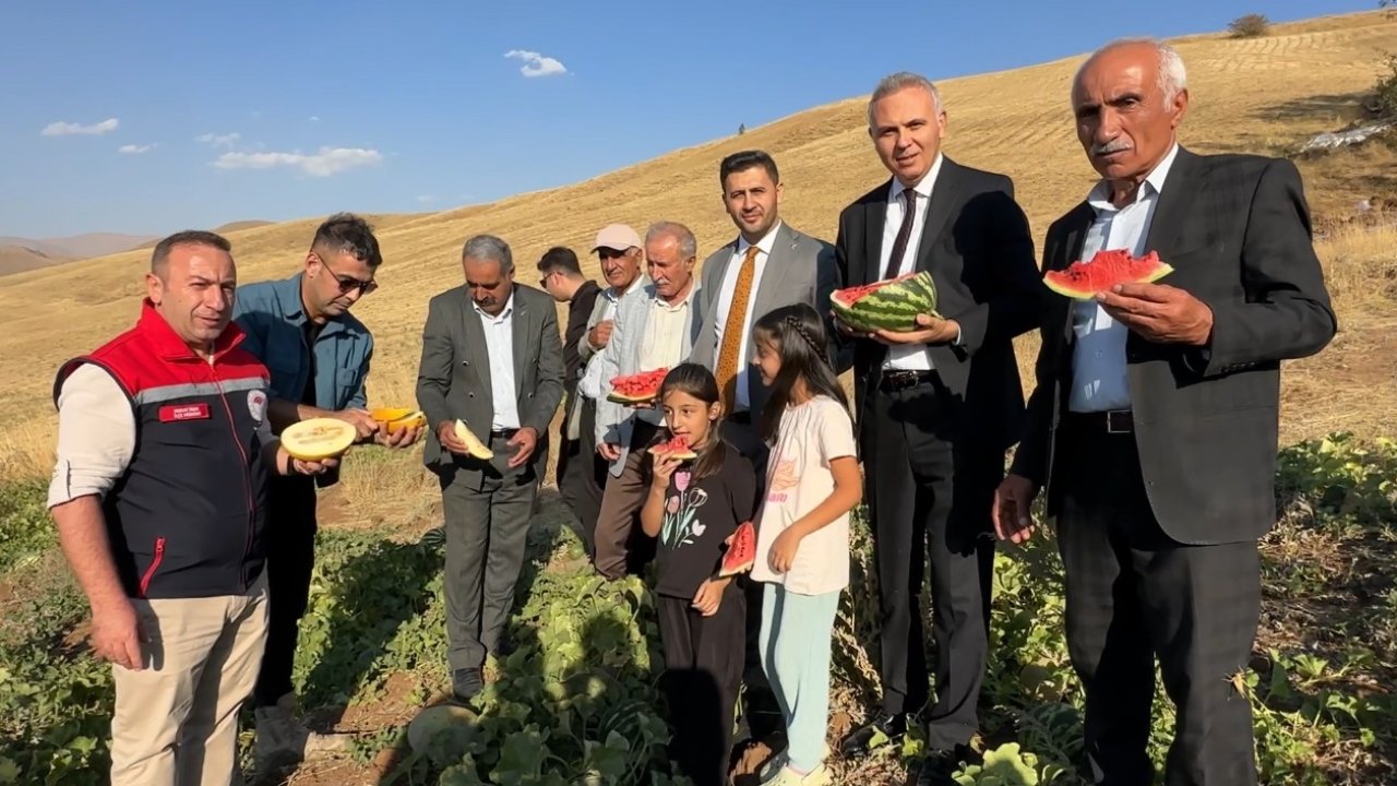 Yüksekova’da mısır, karpuz ve kavun hasadı yapıldı