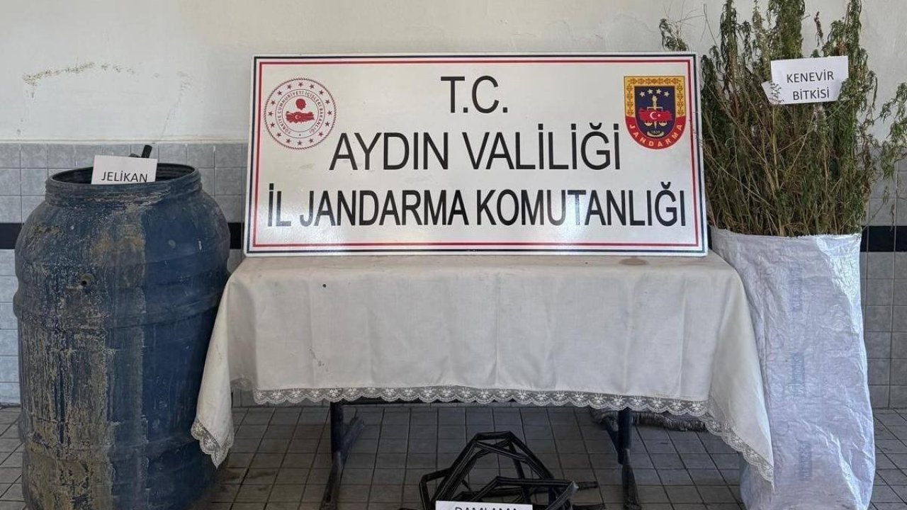 Buharkent’te 40 kök kenevir ele geçirildi