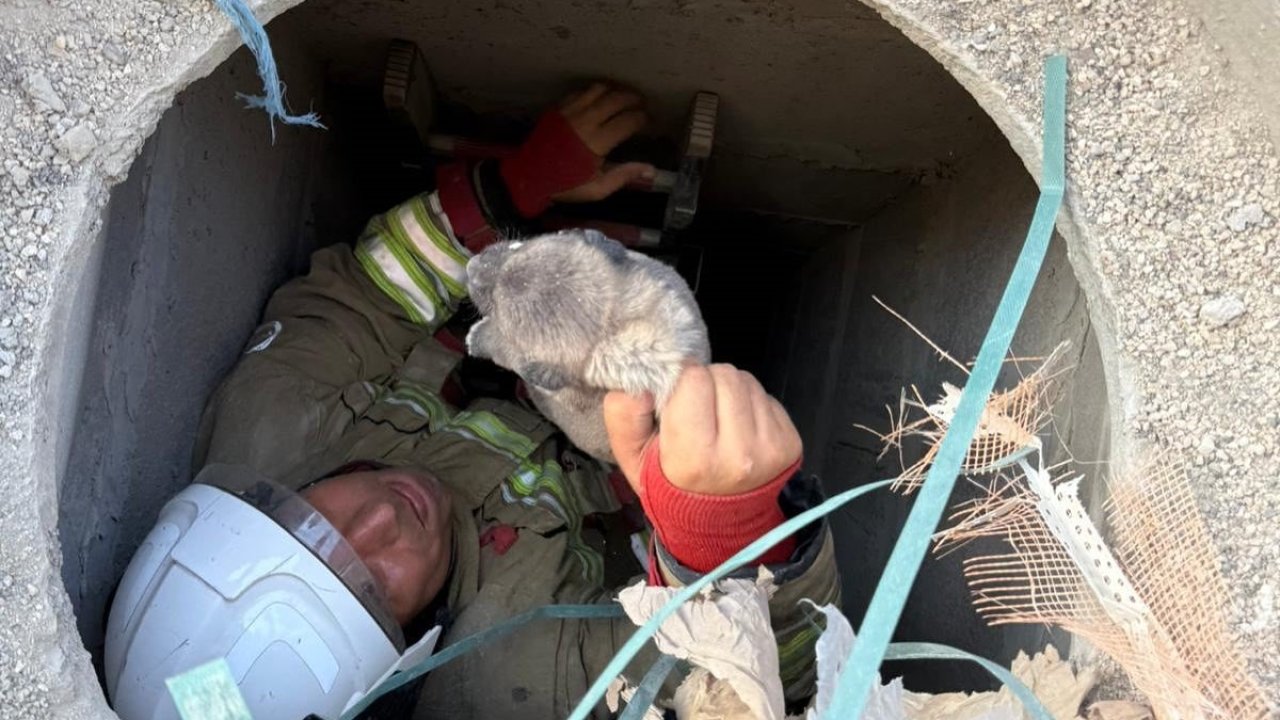 Antakya’da 5 metrelik kuyuya düşen yavru köpek kurtarıldı