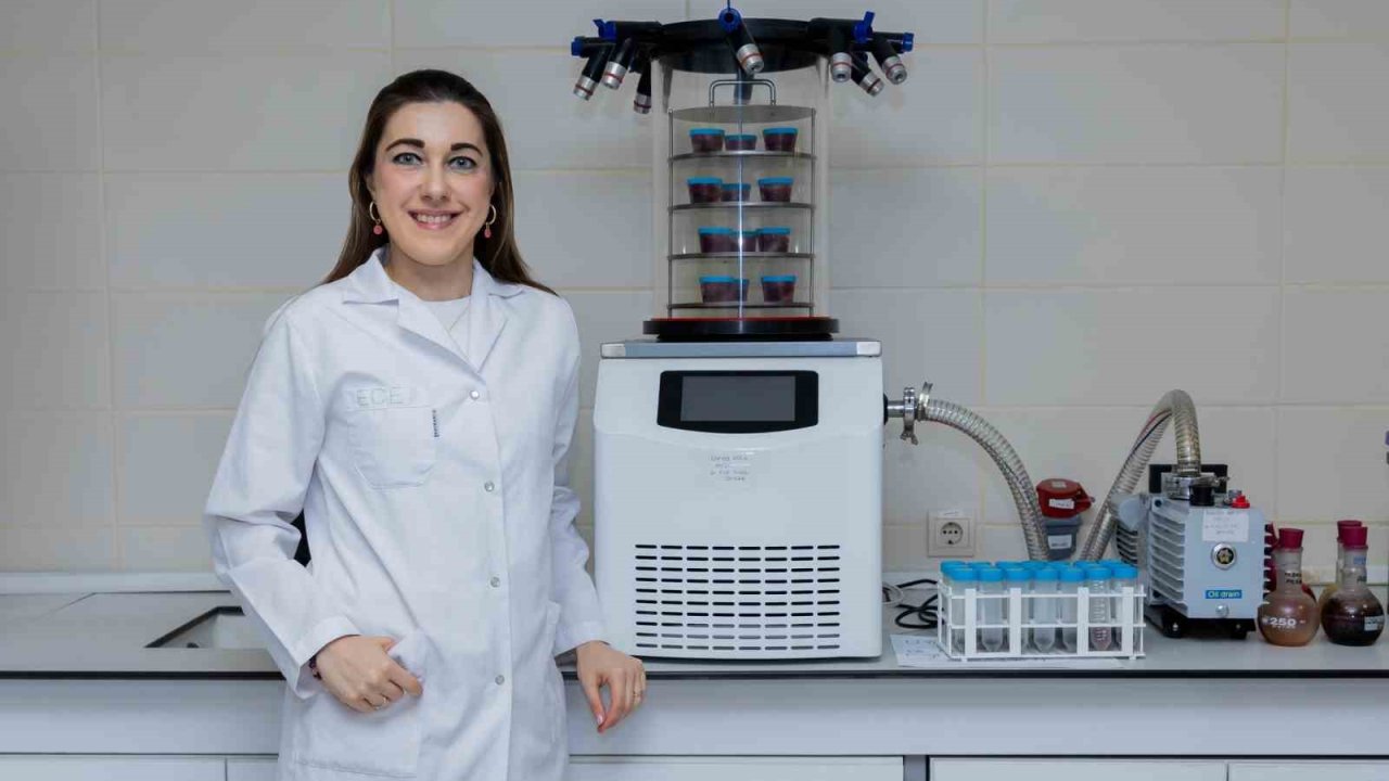 Pestisit sorununa dijital çözüm: Yapay zeka tarımda güvenliği artırıyor