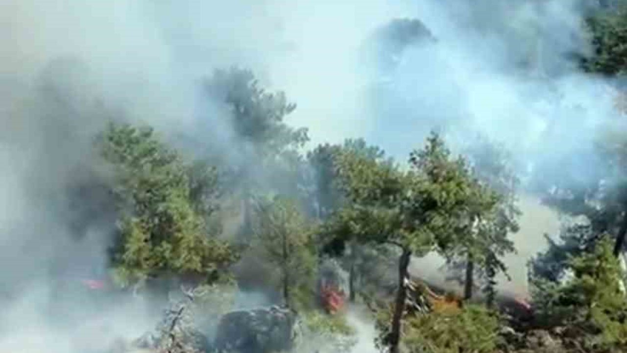 Köyceğiz Otmanlar yangını devam ediyor