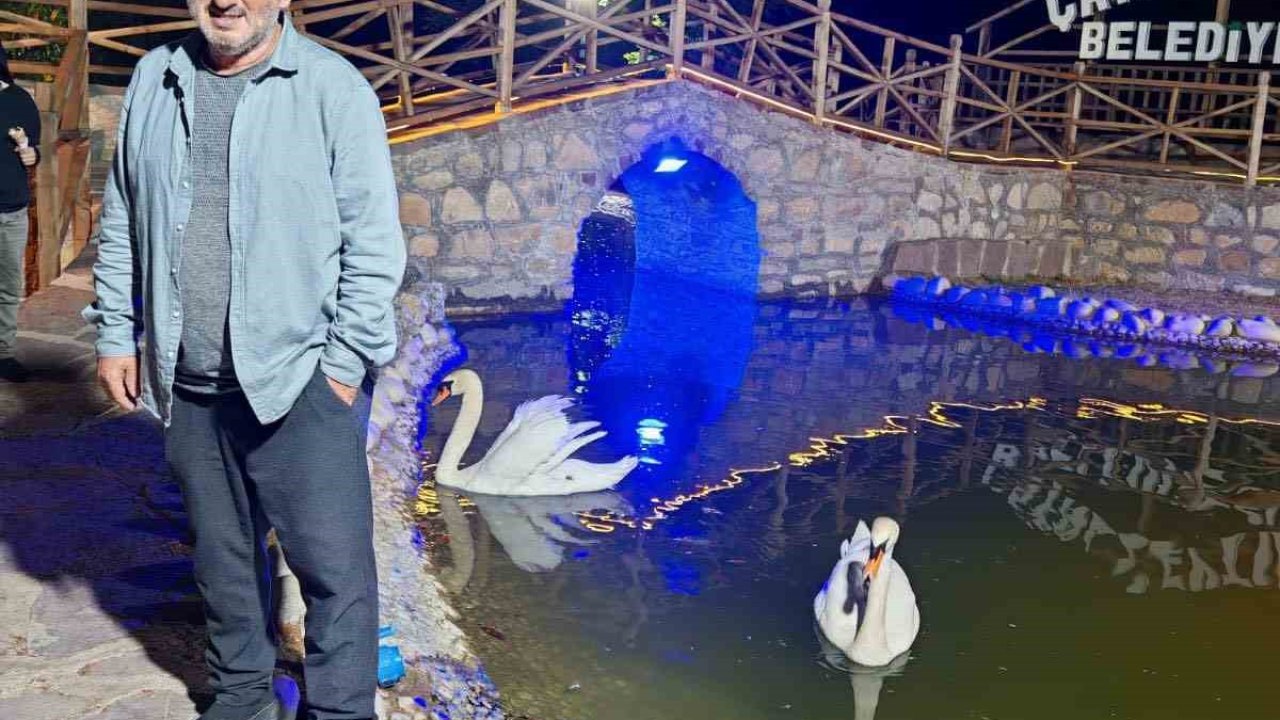 Kastamonu’da incir ağacında düşen vatandaş hayatını kaybetti