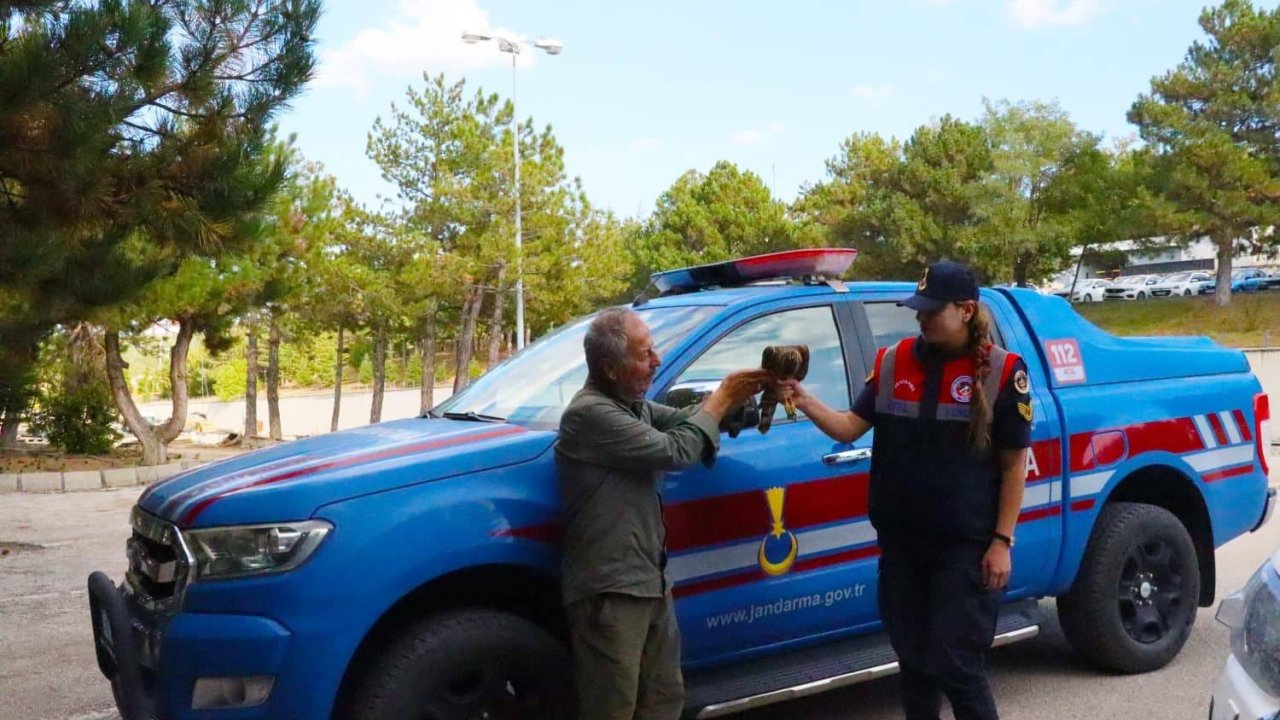 Yaralı Çakır kuşuna Jandarma ekiplerinin şefkatli eli uzandı