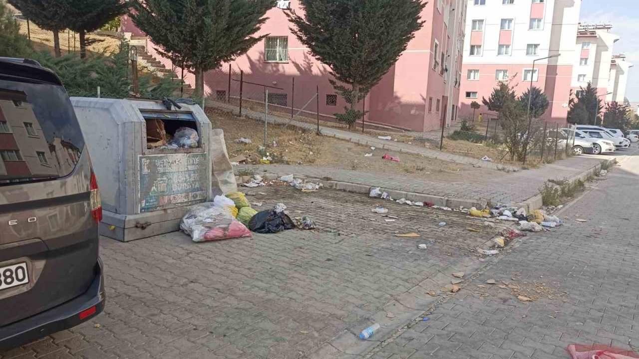 Tuşba’da yol ve çöp sorunu vatandaşları bıktırdı