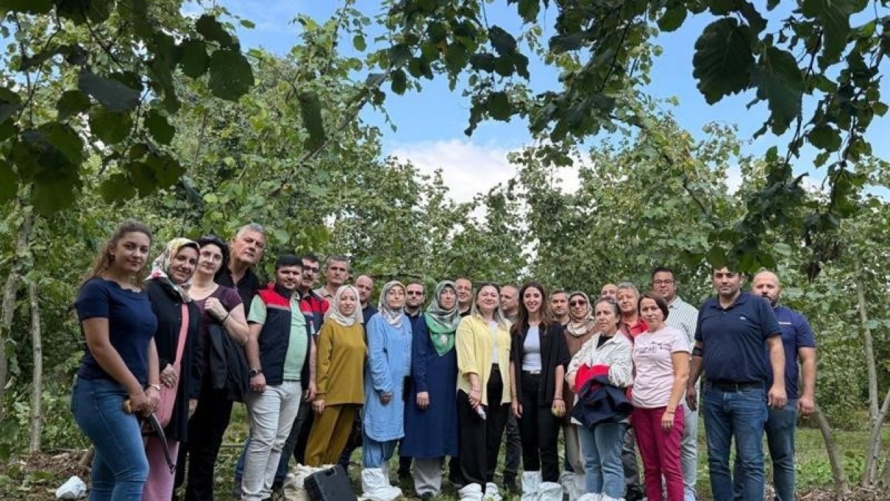 Fındıkta verim ve kalite arttırılacak