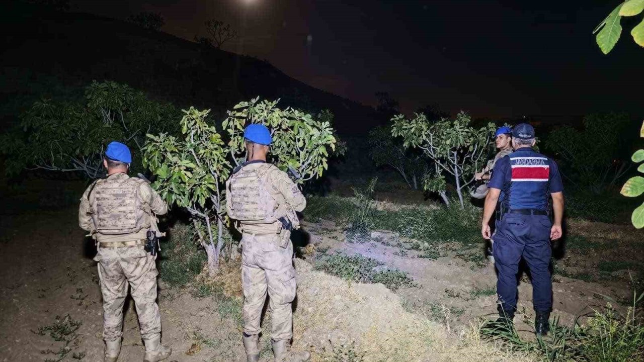 Kuyucak’ta jandarmadan incir nöbeti