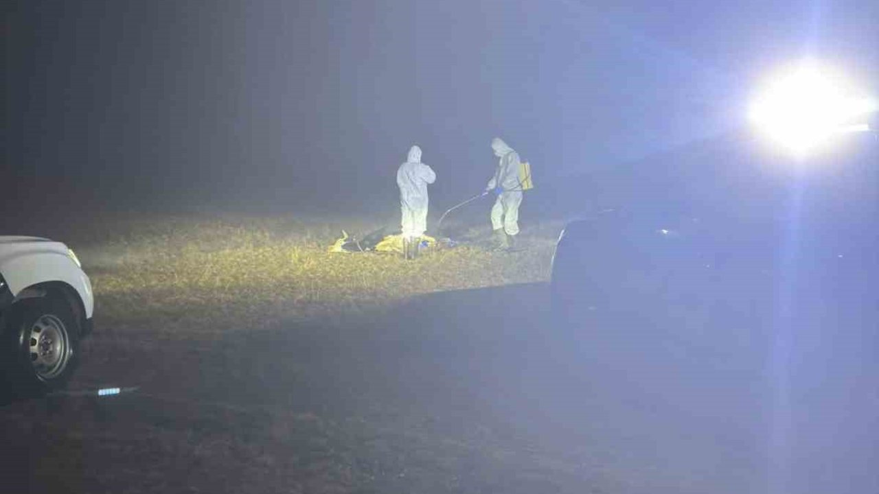 Gümüşhane’de şap hastalığı nedeniyle 5 köy karantinaya alındı